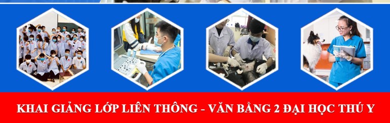 LIÊN THÔNG ĐẠI HỌC & VĂN BẰNG 2 NGÀNH THÚ Y
