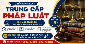 Trung Cấp Pháp Luật