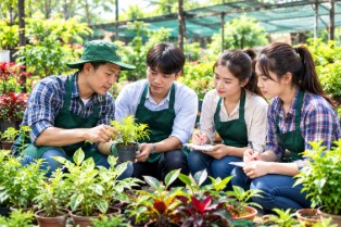 Khoá học cấp chứng chỉ kỹ thuật trồng và chăm sóc cây cảnh 2026 2 Khoá học cấp chứng chỉ kỹ thuật trồng và chăm sóc cây cảnh