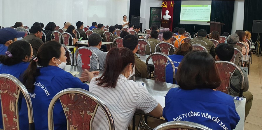 Đào tạo và cấp chứng chỉ nghề kỹ thuật trồng và chăm sóc cây xanh
