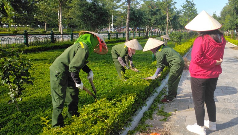 Đào tạo và cấp chứng chỉ nghề kỹ thuật trồng và chăm sóc cây xanh