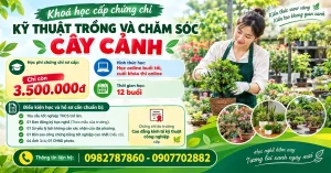 Khoá học cấp chứng chỉ kỹ thuật trồng và chăm sóc cây cảnh 2026 58 Khoá học cấp chứng chỉ kỹ thuật trồng và chăm sóc cây cảnh