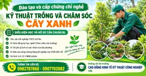 Đào tạo và cấp chứng chỉ nghề kỹ thuật trồng và chăm sóc cây xanh 2026 58 Đào tạo và cấp chứng chỉ nghề kỹ thuật trồng và chăm sóc cây xanh